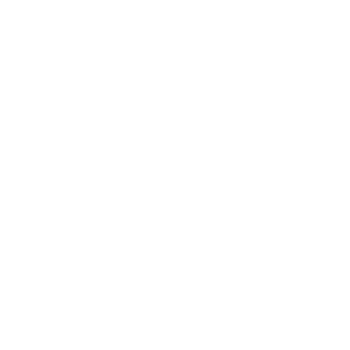 Piotr Michałus FLYDRONE logo